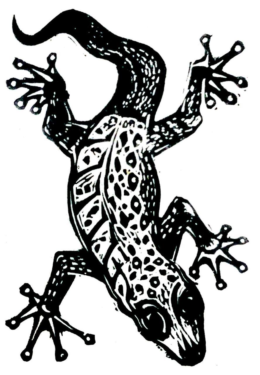 Gecko Guest House Cooktown Buitenkant foto